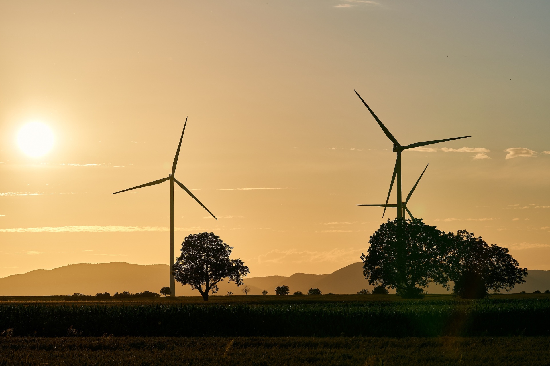 Windräder in der Landschaft  im Gegenlicht